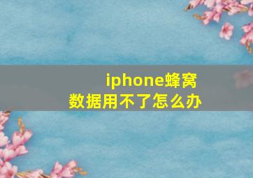 iphone蜂窝数据用不了怎么办