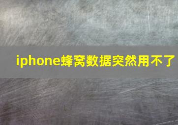 iphone蜂窝数据突然用不了