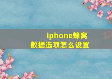 iphone蜂窝数据选项怎么设置