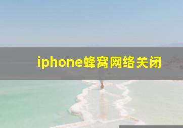 iphone蜂窝网络关闭