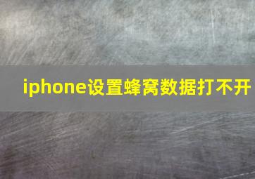 iphone设置蜂窝数据打不开