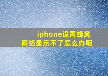 iphone设置蜂窝网络显示不了怎么办呢