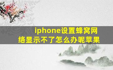 iphone设置蜂窝网络显示不了怎么办呢苹果