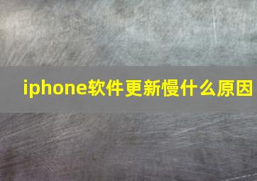 iphone软件更新慢什么原因