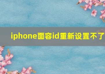 iphone面容id重新设置不了