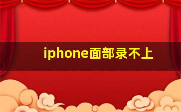 iphone面部录不上