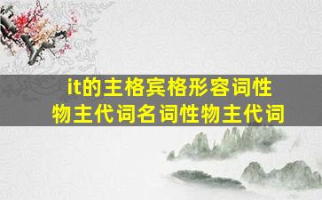 it的主格宾格形容词性物主代词名词性物主代词