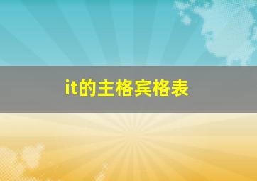 it的主格宾格表