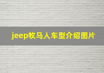 jeep牧马人车型介绍图片