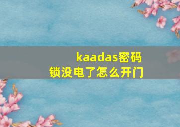 kaadas密码锁没电了怎么开门