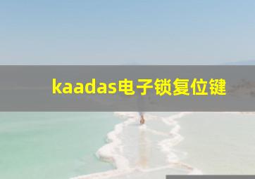 kaadas电子锁复位键