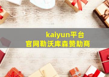 kaiyun平台官网勒沃库森赞助商