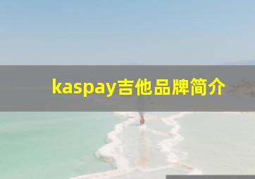 kaspay吉他品牌简介