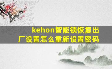 kehon智能锁恢复出厂设置怎么重新设置密码