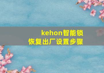 kehon智能锁恢复出厂设置步骤