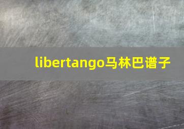 libertango马林巴谱子