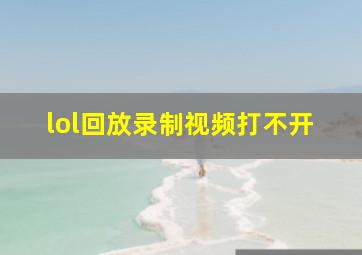 lol回放录制视频打不开