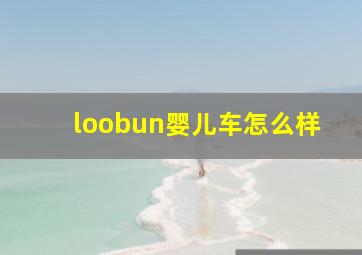 loobun婴儿车怎么样