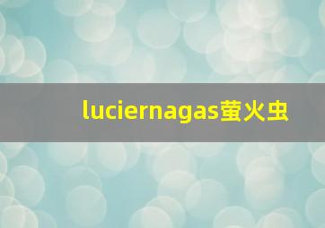 luciernagas萤火虫