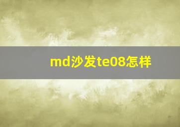 md沙发te08怎样