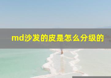 md沙发的皮是怎么分级的