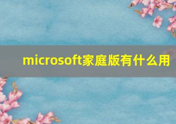 microsoft家庭版有什么用