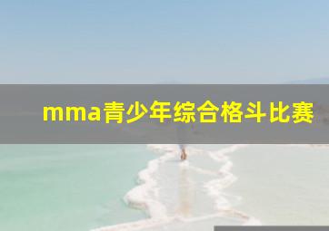 mma青少年综合格斗比赛