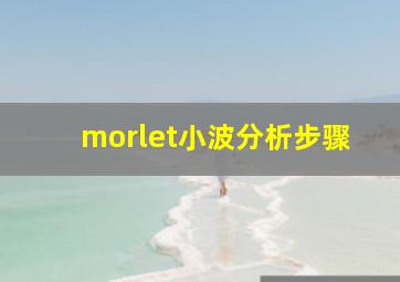 morlet小波分析步骤