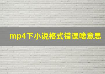 mp4下小说格式错误啥意思