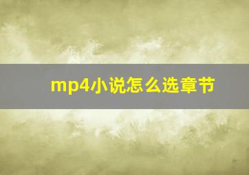 mp4小说怎么选章节