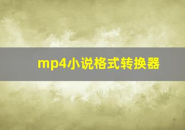 mp4小说格式转换器