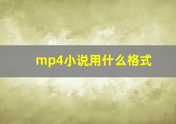 mp4小说用什么格式