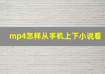 mp4怎样从手机上下小说看