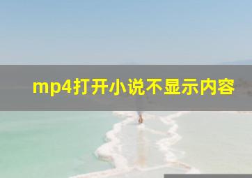 mp4打开小说不显示内容