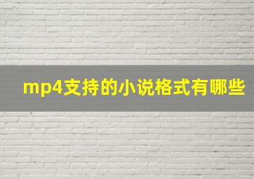 mp4支持的小说格式有哪些