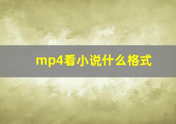 mp4看小说什么格式