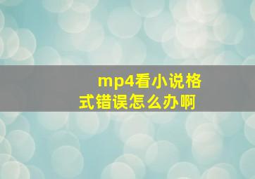 mp4看小说格式错误怎么办啊