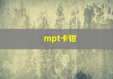 mpt卡钳