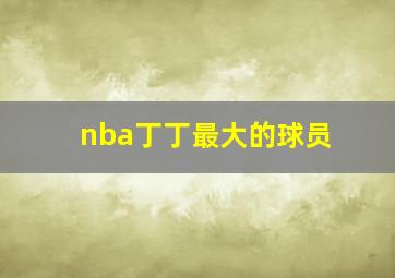 nba丁丁最大的球员