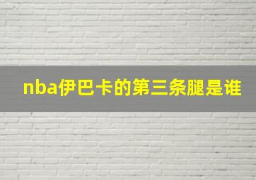 nba伊巴卡的第三条腿是谁