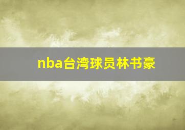 nba台湾球员林书豪