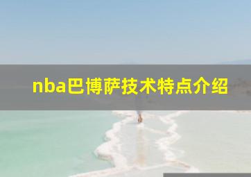 nba巴博萨技术特点介绍