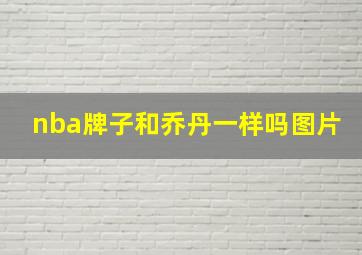 nba牌子和乔丹一样吗图片