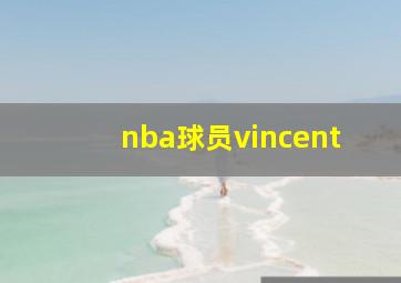 nba球员vincent