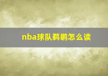 nba球队鹈鹕怎么读