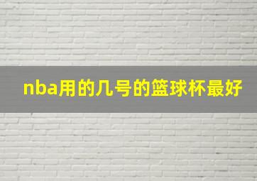 nba用的几号的篮球杯最好