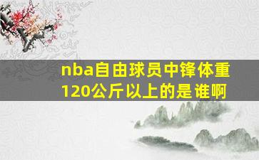 nba自由球员中锋体重120公斤以上的是谁啊