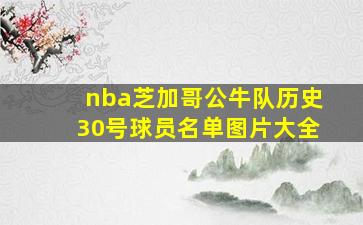 nba芝加哥公牛队历史30号球员名单图片大全