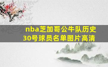 nba芝加哥公牛队历史30号球员名单图片高清