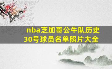 nba芝加哥公牛队历史30号球员名单照片大全